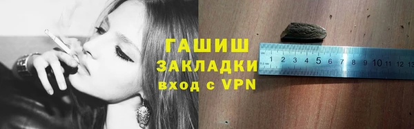 амф Бородино