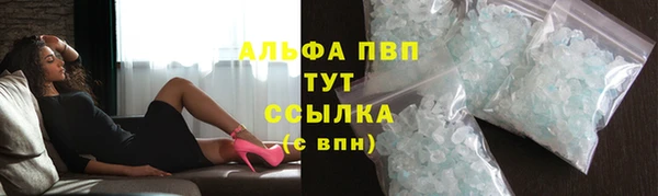 ГАЛЛЮЦИНОГЕННЫЕ ГРИБЫ Верея