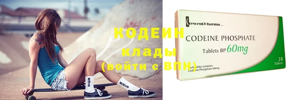 ГАЛЛЮЦИНОГЕННЫЕ ГРИБЫ Верея