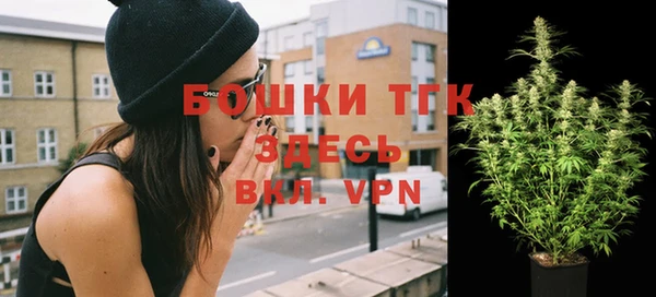 ГАЛЛЮЦИНОГЕННЫЕ ГРИБЫ Верея